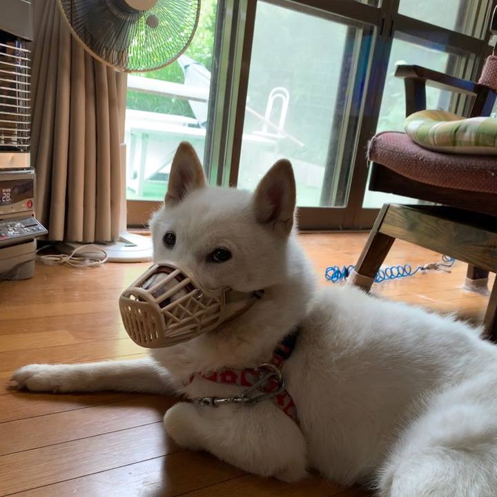 Bccb6bf9 4e76 4848 b7c2 e2347cf9b09f 1562186600105