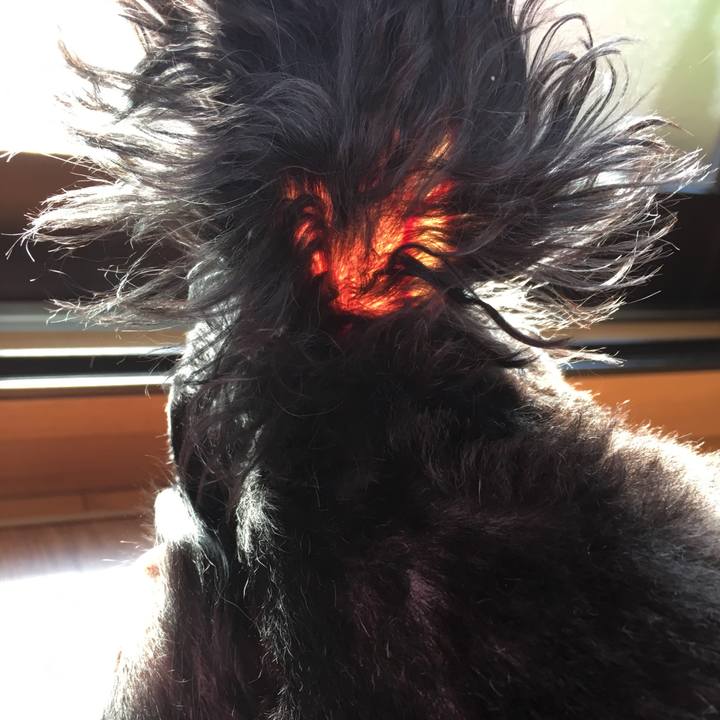 Bccb6f25 a611 4945 bebb f4a4baf11f2e 1513726144159