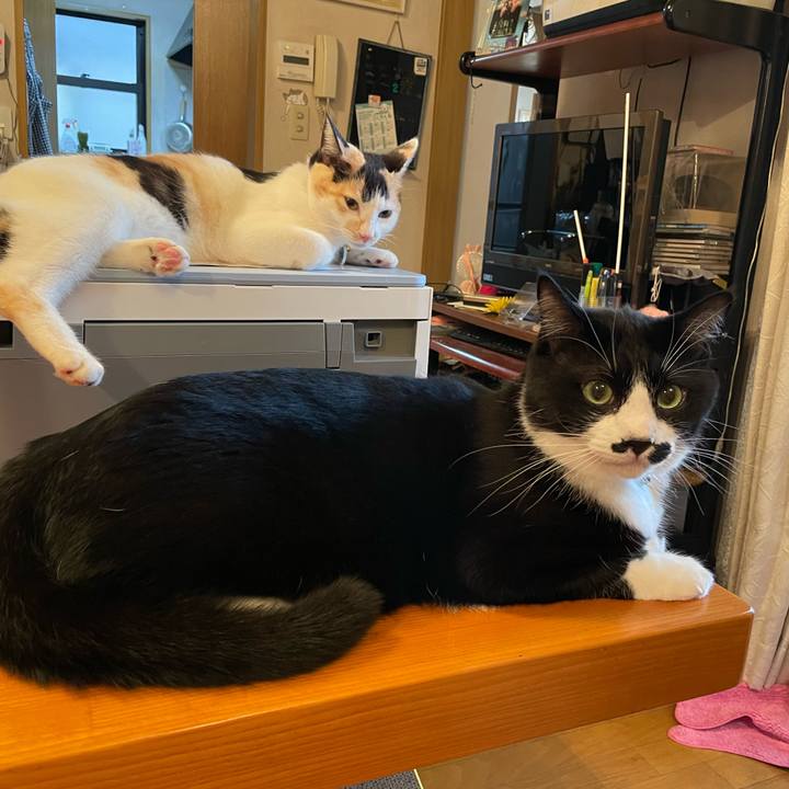 Bccba055 d5cc 4617 ad27 507a693ba61b 1670500418158