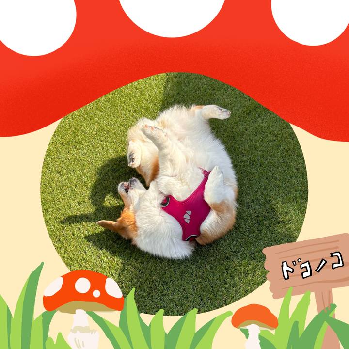 Bccbf90a 78d9 4517 b248 620dc889e74f 1729135507089