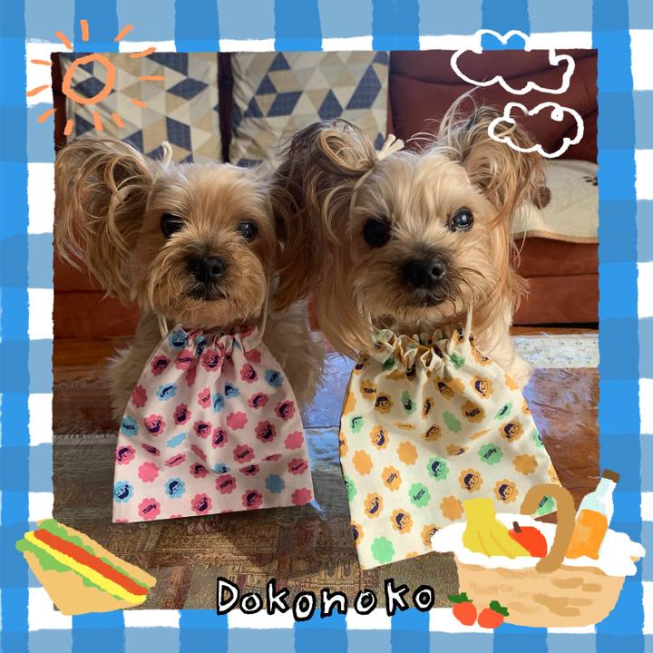 Bccbfa36 dea1 4353 97f2 1bad528ba99c 1744797490522