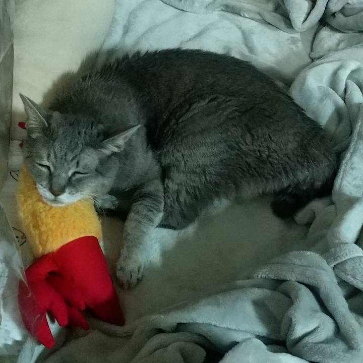 Bccc1503 becd 4406 b199 1aeb6c14edf3 1728550468067