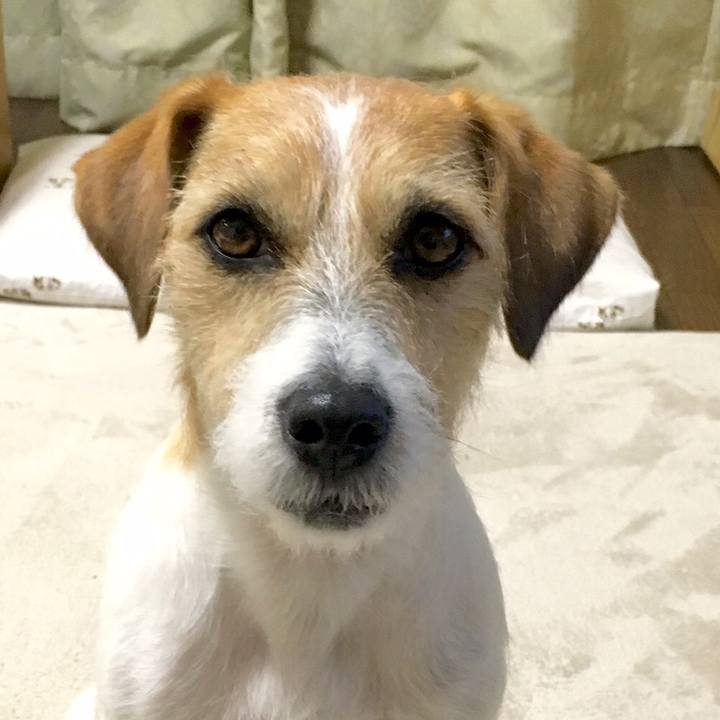 Bccc499b 32b3 469e a537 b9e048508a36 1544443695701