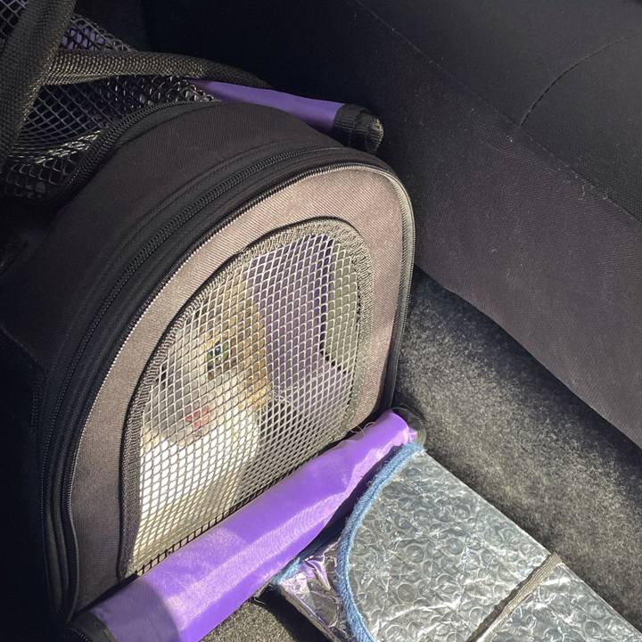 Bccc5887 a8df 43ee 99bd 34eb0004c219 1678543234290