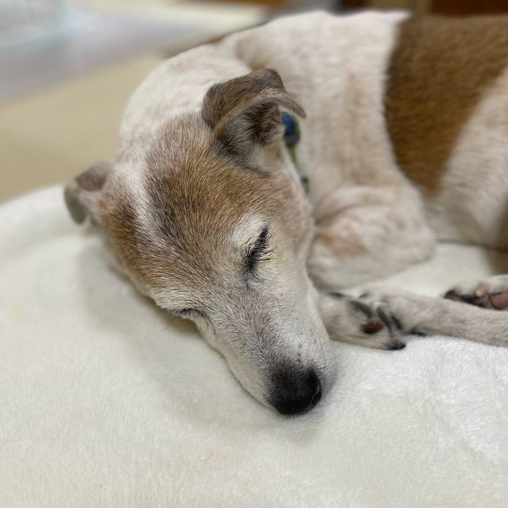 Bcccaba3 747e 44ba a870 c4fc93686dc9 1672316600046