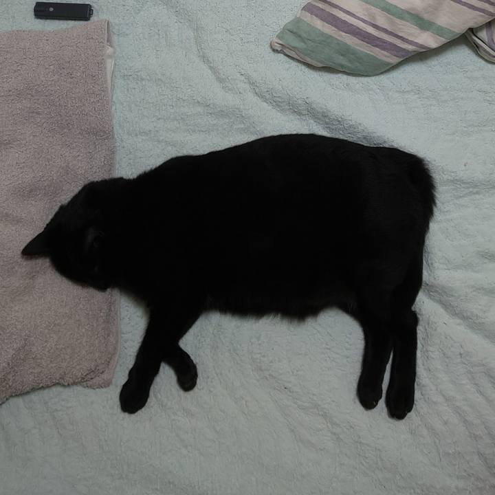 Bcccae81 03f5 45b5 aed6 9b29adf95406 1714606823865