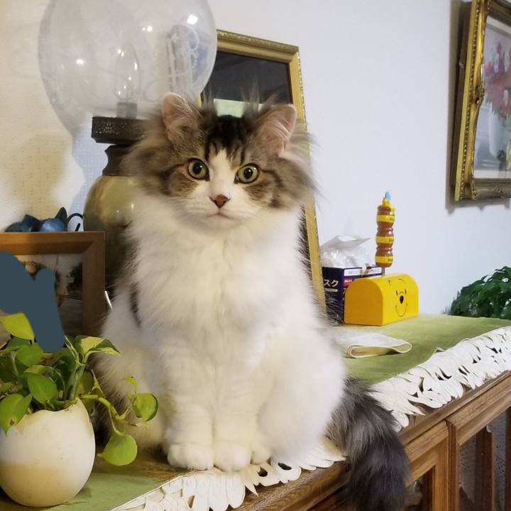 Bcccbff9 314c 451d 8096 9d3deaa98f13 1587987466835