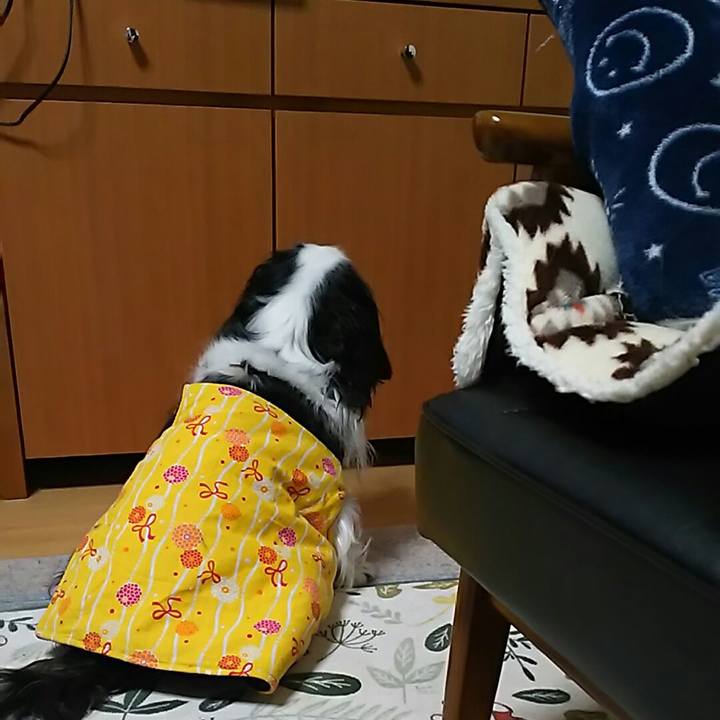 Bcccc295 9f10 4fa0 ba31 69823a27591a 1549722670933