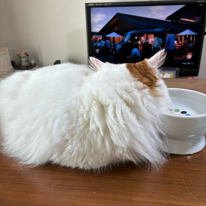 Bcccf438 b03b 4f9f a256 c597d25e90c3 1758332445798