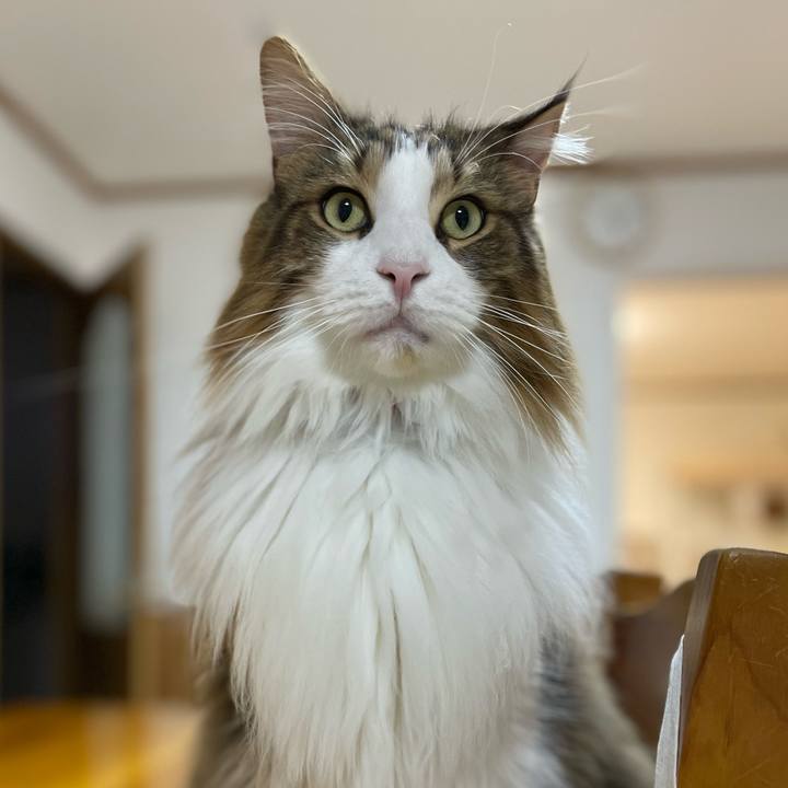 Bccd0550 591e 4f94 aafe 59cc0b6558bc 1702757957884