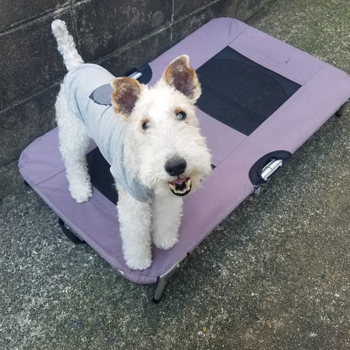 Bccd0ee9 64be 431a a176 0261d5f36bf5 1588233081153