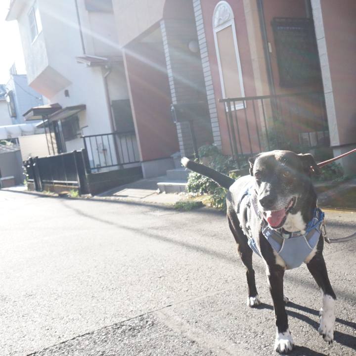 Bccd342d 475c 49cd b070 e677198e355e 1755216344083