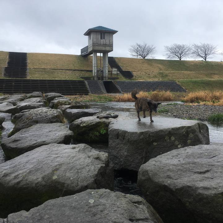 Bccd4f36 da7f 46a6 ae30 032475614802 1550796338291