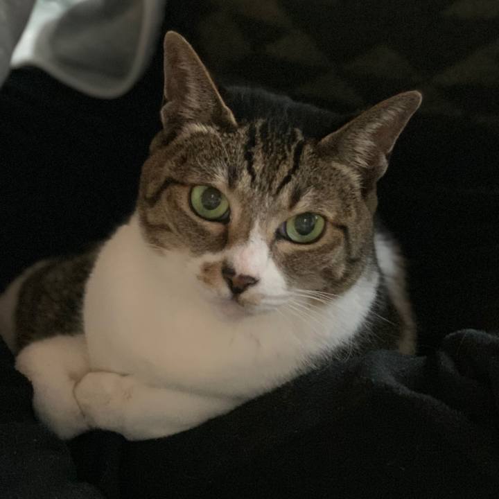 Bccd59a3 a382 4f8b 81b1 8dee366a395a 1577669806335