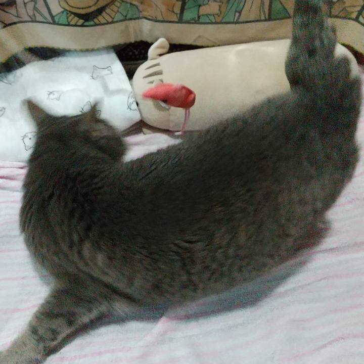 Bccd60a1 bd8c 4006 8745 96e942f112db 1684149871613