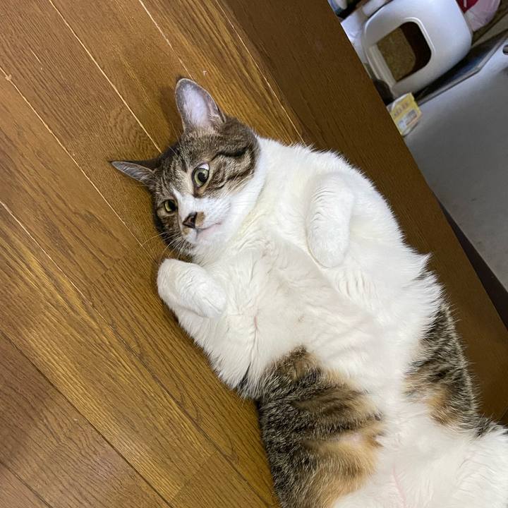 Bccda583 feae 4a0c 8713 c4c6075a0b4b 1753397368567