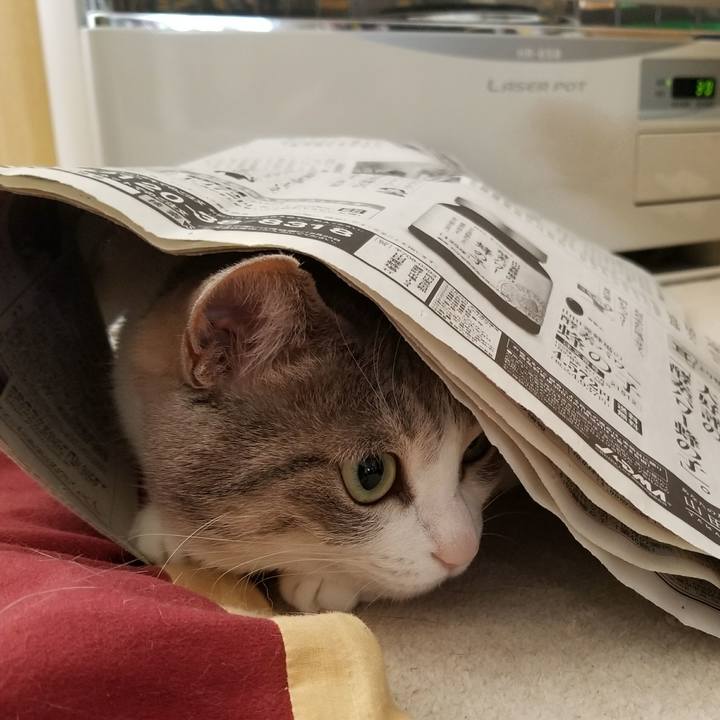 Bccdbda3 eb6a 4e44 a473 79cf62af9322 1521608575855