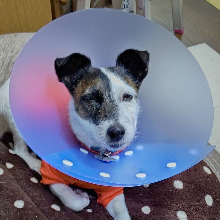 Bccdde3b 28a5 47c7 a789 38a451599578 1669169611000