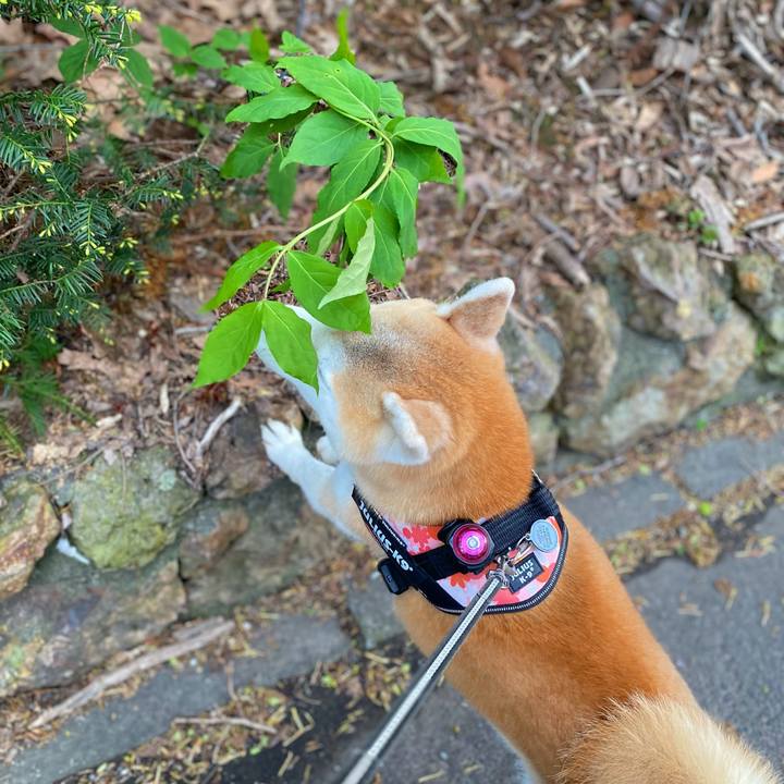 Bcce0d1f 0570 4ea1 977d 6473ecbf1420 1715171064086