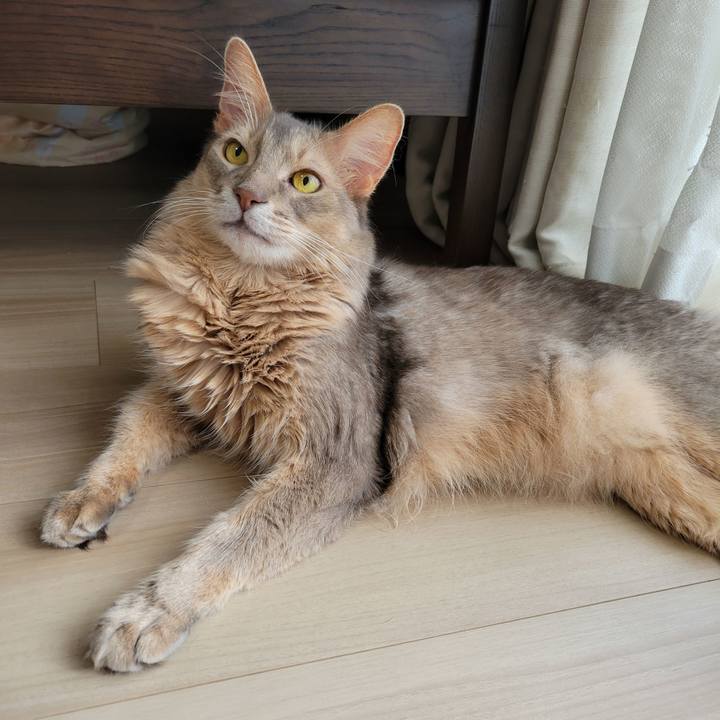 Bcce18b2 d31d 4c6e a37f de562ca1430a 1630218419607