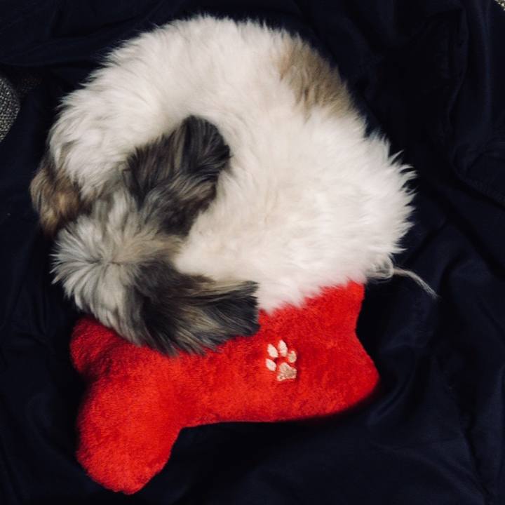 Bcce1c12 0688 4889 8022 ac53aac4edd8 1557880674526