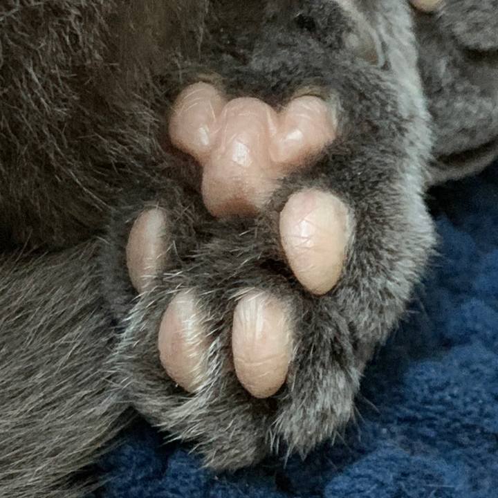 Bcce3370 7b64 43bc 9b57 e5a5404cbd2e 1684572242926