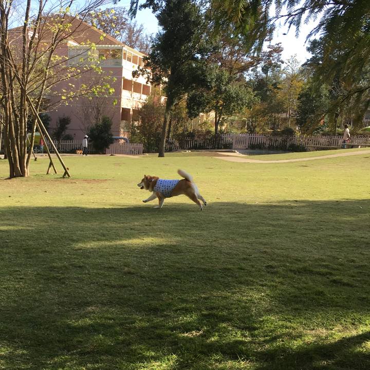 Bccee575 bde1 4560 982a b23f6fe3514e 1542340928242