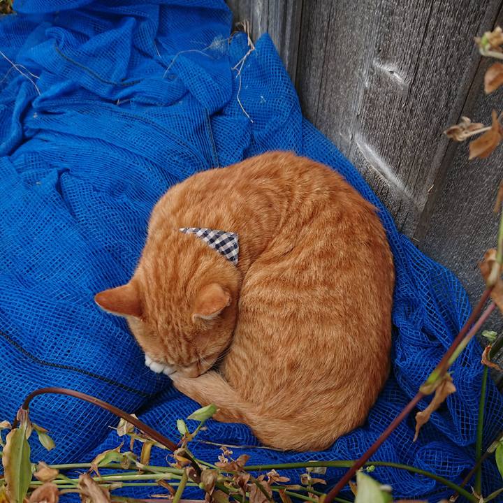 Bccefb56 7540 4cb4 abf7 b32a3c15733a 1571026100602