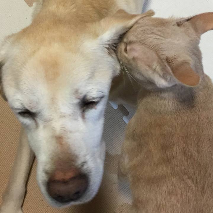 Bccf56bf e682 4eb6 b1d2 526b5c64170a 1515489234853