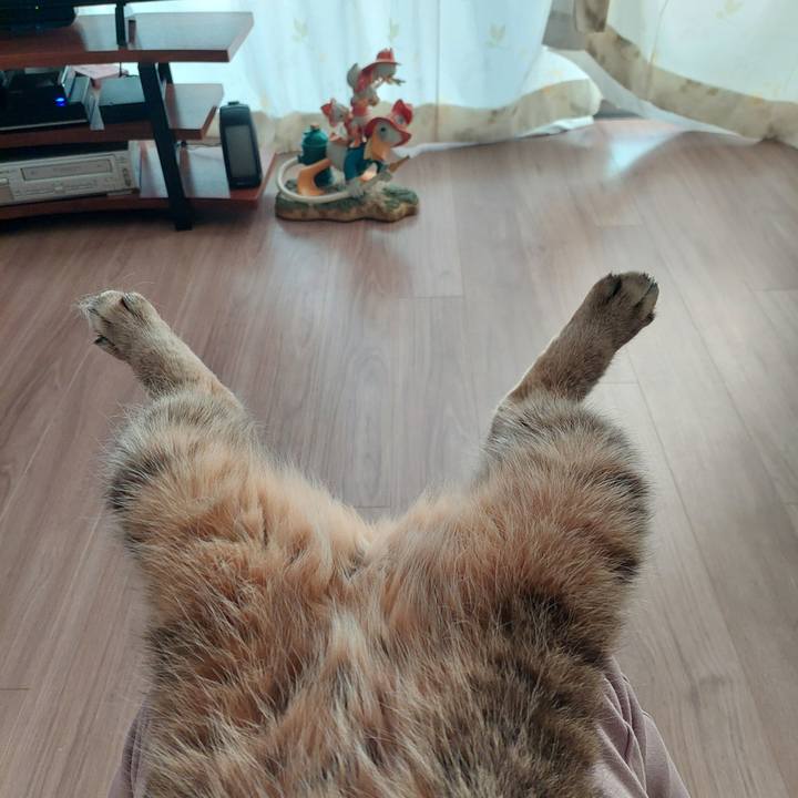 Bccf5afe c0c4 42a6 a5f8 fdc2b611b680 1736550378609