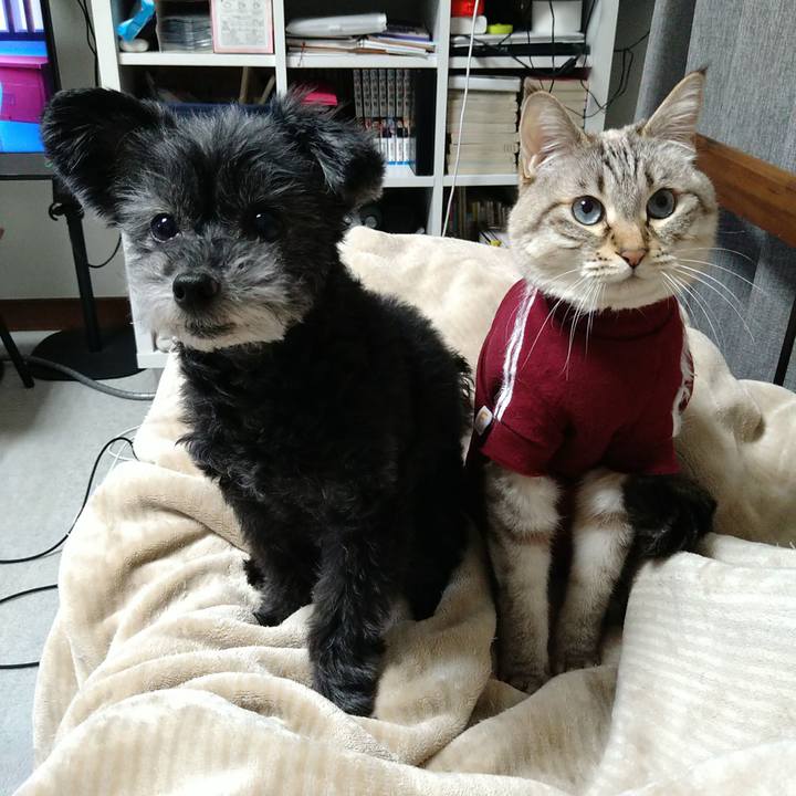 Bccf614a 47bb 49c5 be98 35e8a8f1a15e 1707837231978