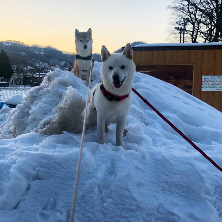 Bccf6ee0 7822 4a92 ba54 d26fd513ea42 1550739357299