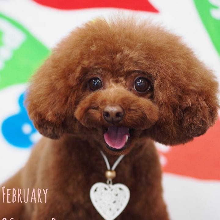 Bccf6f6a c6d9 418f a368 e0e2c4082fc2 1518511067045