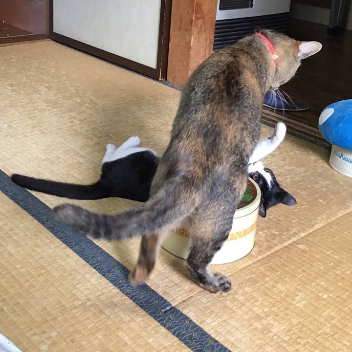 Bccfbfde 79bb 4b02 96f1 310a2810f592 1629684691232