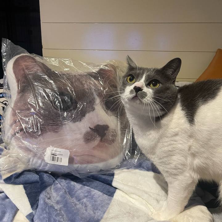 Bccfc386 aaf6 4642 a23f 52a5c54c4a1c 1679132121352