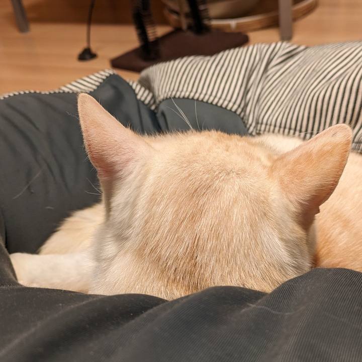 Bccfc79c e677 4c58 abb3 6cd982381287 1703334136392