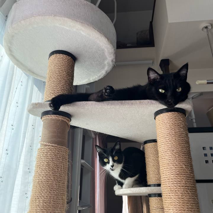 Bccff19d 930e 47be a07e 11b73d9019e6 1713138732302