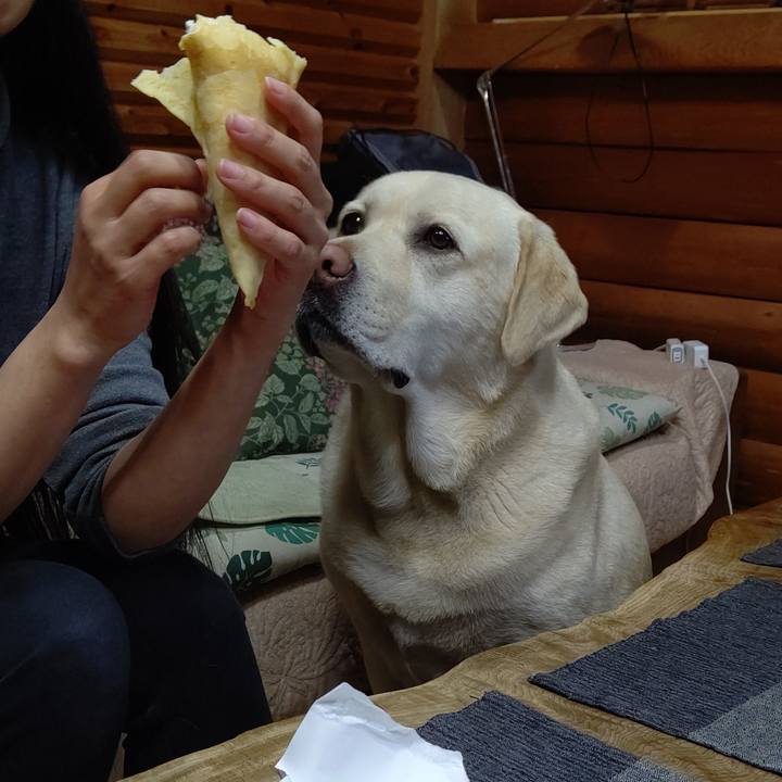 Bccff528 28af 4973 85cd 02d678617b7e 1647348632953