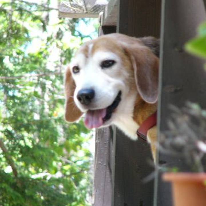 Bcd012fe c50a 446f 95d4 fea6da58d400 1642733451956