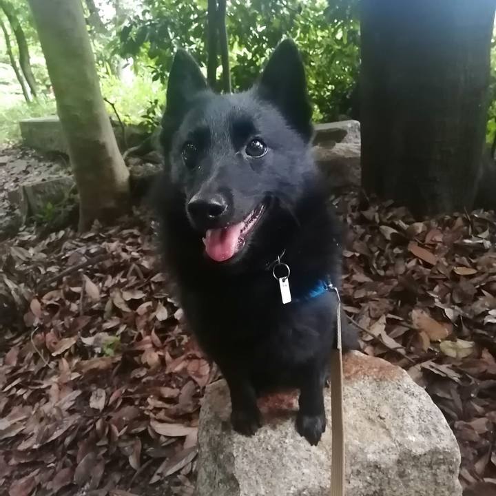 Bcd0243f 248c 414a bb18 d7c9313d50e5 1621285273083