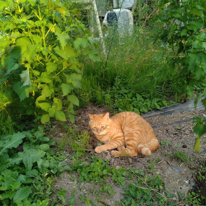 Bcd08c31 4b25 41e8 a501 400968c8433b 1663575779402