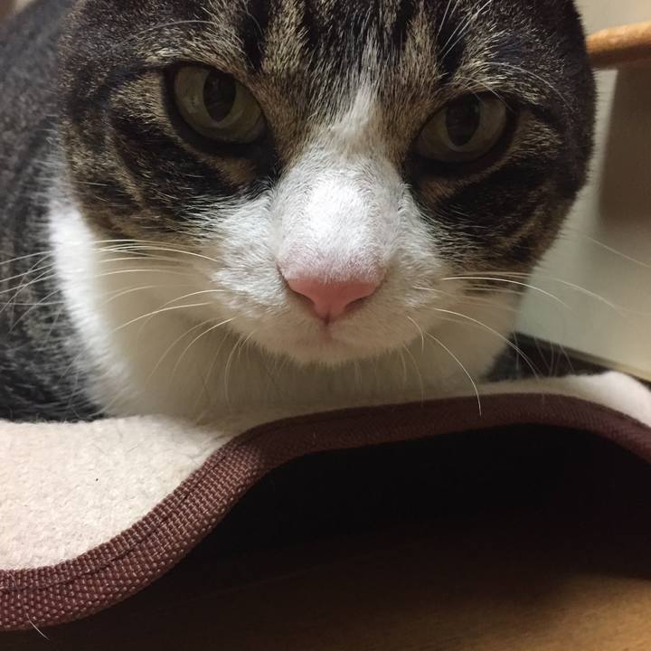 Bcd0ae31 acd8 4fc8 a484 367076b727bd 1516195001610