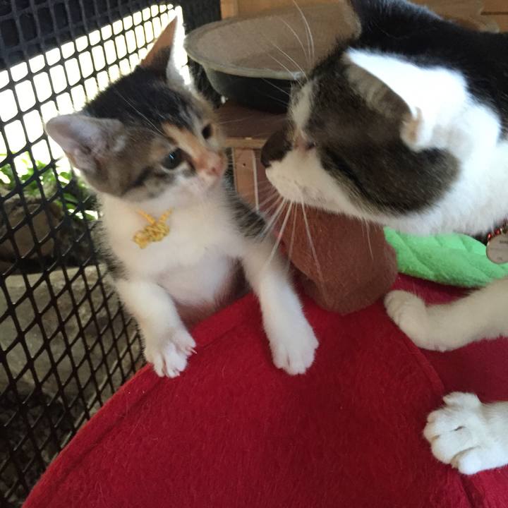 Bcd0b02c b3b3 4ce2 8d52 0eed707b14ce 1570674232778