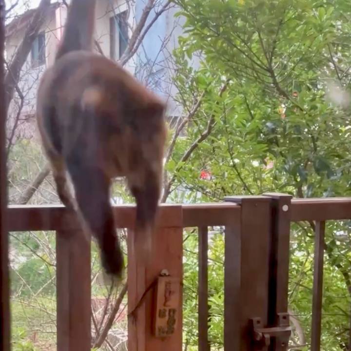 Bcd0def8 d8cb 4625 a767 7c440dc4bed3 1737711085602