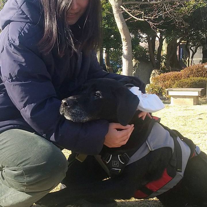 Bcd0e2e0 2531 4260 8a4f c17c259fcec4 1710064184161