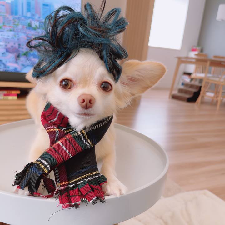 Bcd108ae b81c 4dea b57a 758cd2a81280 1694167595728