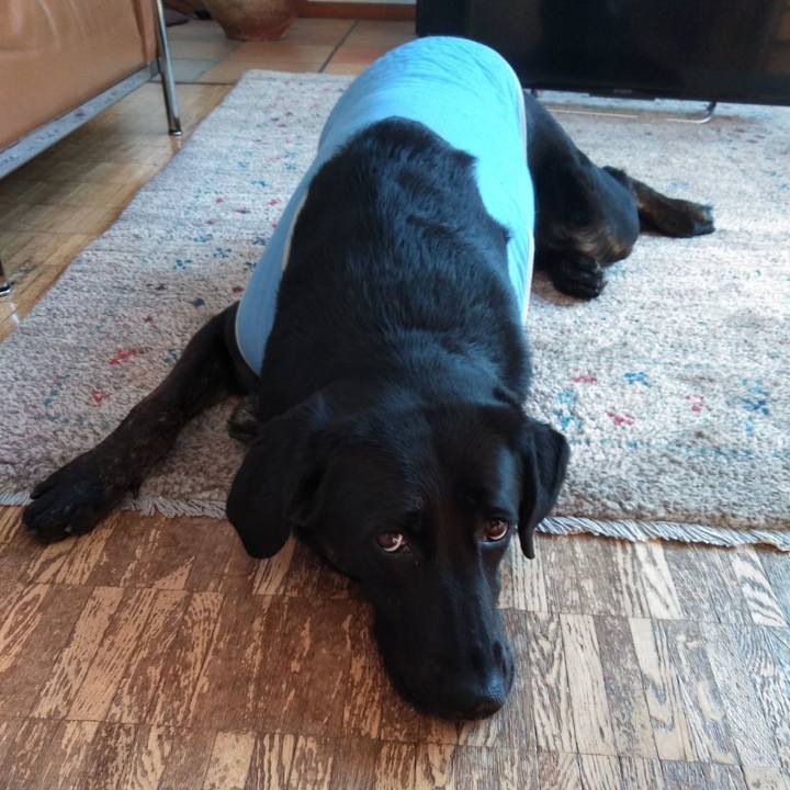 Bcd10a36 7080 480b 9591 59599c6b19d9 1554417950194