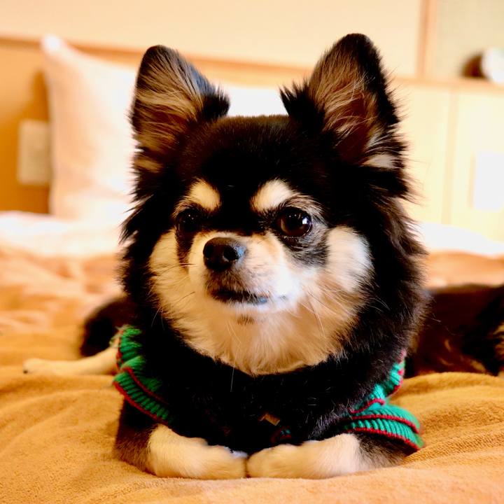 Bcd12ea2 fc3b 4679 bad5 a9b813c72f8d 1765196738539