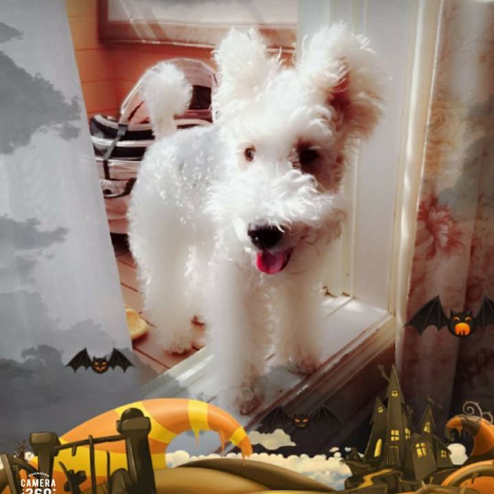 Bcd13c4e bbb1 4d33 9b5c 85e53d04aad3 1509413340892