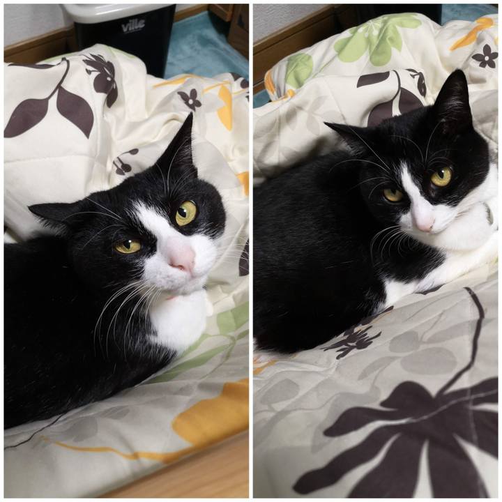 Bcd14026 7005 4a0f 97c1 bad2bcce605d 1669781927717